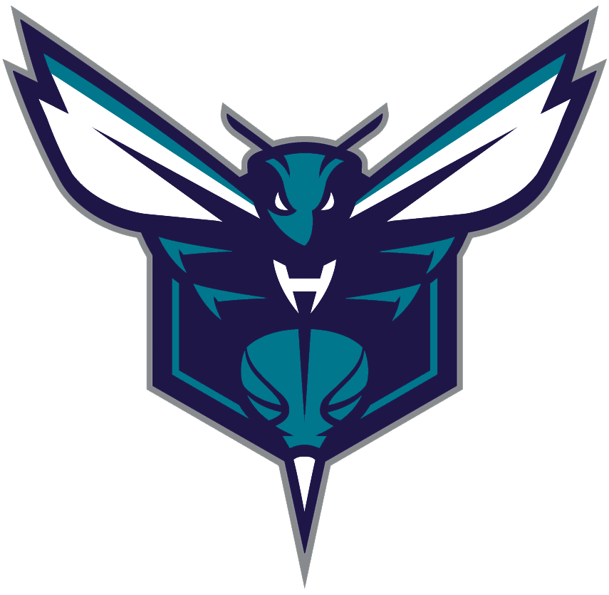 Charlotte Hornets 2014-Pres Alternate Logo fabric transfer version 2